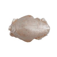 Gulp Sand Crab Flea