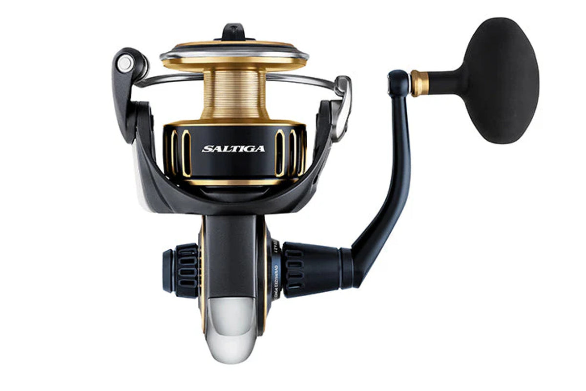 Saltiga Spinning 2025