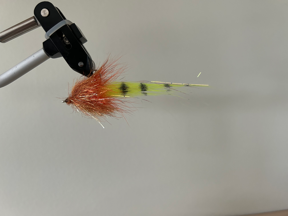 Fin & Seek