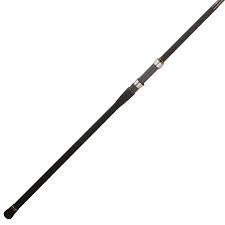 Penn Carnage III Surf Rod Spinning